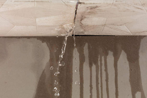 Professional Water Damage Repair technician working in Laurel, MS